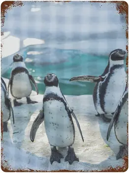 Distracție Noutate Tin Semn Pinguin Semn de Viață Fermă de Țară de Perete de Epocă Semn de Bucatarie Acasă Bar, Garaj Vintage din Metal